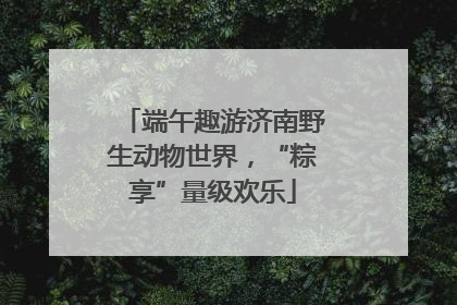 端午趣游济南野生动物世界，“粽享”量级欢乐